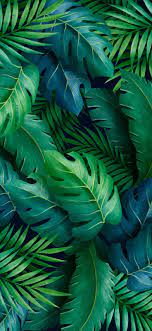 Wallpaper Iphone Aesthetic Green Leaves Wallpaperize Phone Wallpapers In 2021 Green Leaf Wallpaper Green Aesthetic Leaves Wallpaper Iphone