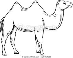 Majority of the camels on earth are. Outline Camel Icon Hand Drawn Vector Illustration Of Two Humped Camel Or Bactrianus Animal Canstock
