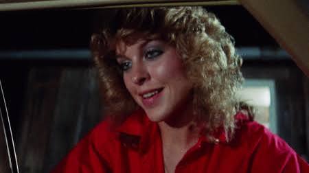 Alien Outlaw (1985)