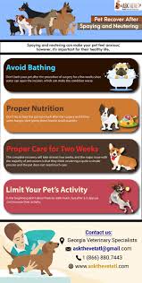 Imagine, spay and neuter mobile units throughout the us.project pets.spay, neuter and love.i and randy have been doing it for years.what this means is.someone in the town or area that can help set up a grange hall or fairgrounds or building.normally we rent for $50.00 for the day (depending on. How To Help The Pet Recover After Spaying And Neutering Spay Pets Vet Clinics