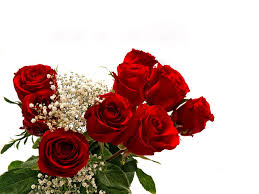 Beautiful Flowers Hľadat Googlom Best Flower Wallpaper Beautiful Roses Rose Flower Wallpaper