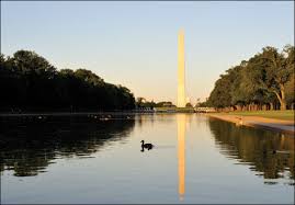 At weeders digest, we carry the largest selection of aquatic weed control and lake weed control products for sale. Chesapeake Quarterly Volume 8 Number 2 Travels With Hydrilla