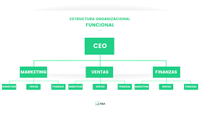 We did not find results for: Los Diferentes Tipos De Estructuras Organizativas De Una Empresa