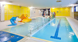 Index Of Wp Content Uploads 2017 02