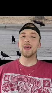 Crows Bringing Gifts