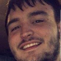 Stephen Vern Collins