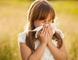 Is It Hayfever Or A Cold Family Health Kidspot