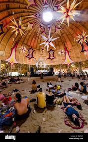 Image result for Ozoroa homblei