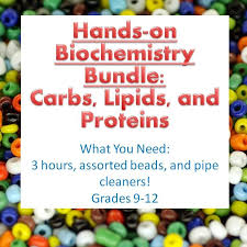 Biochemistry Tests For Food Macromolecules Lipid Answers Biochemistry Activity Bundle With Four Macromolecules For High School Biology Biochemistry High School Biology Biochemistry Activity