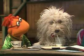 Check spelling or type a new query. Muppy Muppet Wiki Fandom