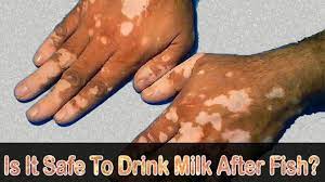 What Happens If You Drink Milk After Eating Fish Drink Milk Drinks Fish
