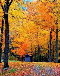 New Hampshire Fall Foliage Connecticut Travel New England Fall