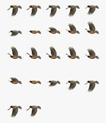 Return Of The Animated Gif 2d Bird Flying Animation Hd Png Download Transparent Png Image Pngitem They have long leg and neck.
