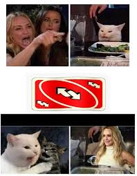 66 Woman Yelling At A Cat Memes That Still Slap In 2020 Funny Gallery