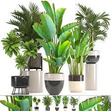 Free for commercial use no attribution required high quality images. Ornamental Plants Pots Model Turbosquid 1293989