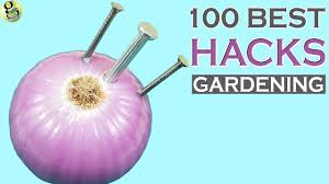 Garden hacks can make that special space a little more enjoyable. 100 Best Gardening Ideas Hacks By Garden Tips Beginners To Expert My Virodeo