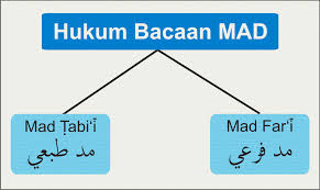 Image result for Hukum Bacaan Mad Thobi'i dan Mad Far'i