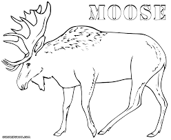 We did not find results for: Moose Coloring Pages Coloring Pages To Download And Print Coloring Home