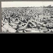 Black And White Little Falls Mn Weirdwood Old Photos Photo