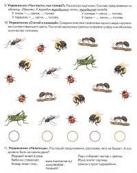 Logopeda De Insectos Topicos Lexicos Insectos Topicos Lexicos Tema Lexico Insectos Y Aranas