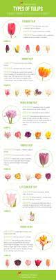 Types Of Tulips Flower Muse Blog Types Of Tulips Wedding Flowers Tulips Tulips