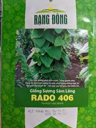 Image result for Platostoma sp. no. 2