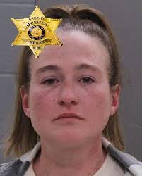 Bath woman facing DWI charge