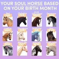 Which Horse Is Your Birthday Soul Horse Star Stable Star Stable Horses Horse Star