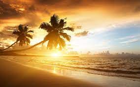 214 beach 4k wallpapers and background images. 30 Hd Wallpaper Beach Sunset On Wallpapersafari