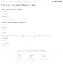 One eye sees color, the other sees shades of black and white. The Human Eye Quiz Worksheet For Kids Study Com