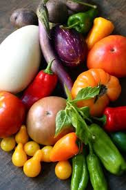 Plants of the world online lists 98 accepted genera in this family commonly. Pin On Color