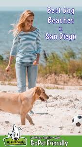 We offer a unique leadership experience in just 10 days full of challenges, teamwork, discipline and education for boys and girls between the ages of 14 and 17. Top Dog Beaches In San Diego Gopetfriendly Com