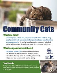 It has our signature design and bright new interior. Animal Care City Of Chula Vista