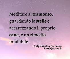 Frasi e citazioni celebri di gino strada, medico e fondatore di emergency morto all'età di 73 anni il 13 agosto 2021. Frasi Sulle Stelle Frasi Buonanotte Ralph Waldo Emerson Frasi