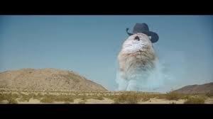 Frequent special offers and discounts up to 70% off for all products! Yelling Cowboy Grandpa Cat Imgur