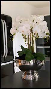 Xxl Orchid Large Flower Arrangements Potted Orchid Centerpiece Flower Vase Arrangements