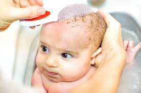 Di indonesia, mencukur rambut bayi banyak dilakukan karena menjadi anjuran dalam agama islam. Sikat Untuk Bayi Baru Lahir 20 Gambar Bagaimana Untuk Memilih Untuk Menyikat Kerak Pada Bayi Model Dari Chicco Dan Nuk Ulasan