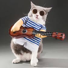 Komik Pet Gitar Calar Cosplay Kopek Kedi Kostum Gitarist Giyinme Parti Noel Yeni Yil Giysileri Kediler Kostum Bir Kedi Icin Cat Costume Clothes For Catsfunny Cat Clothes Aliexpress