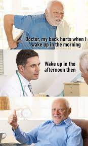 What other themes and memes are popular online in russia? Hidethepainharold Hashtag On Twitter