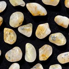 Image result for Rutidea