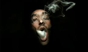 Photographer Portfolios