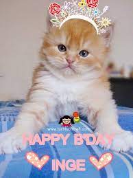 Happy Birthday To Inge Lol Luch Luch Craft Bloglovin