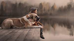 Popsilla.com has been visited by 1m+ users in the past month 1920x1080 Kids And Dogs Laptop Full Hd 1080p Hd 4k Wallpapers Images Backgrounds Photos And Pictures