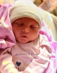 Meet the newest additions to Greater Sudbury's family