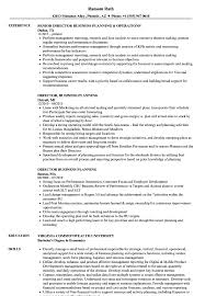 With at least 5 years of experience in financial planning and analysis and budget management or financial reporting. Director Business Planning Resume Samples Velvet Jobs