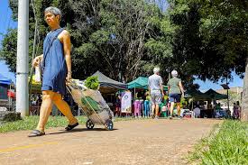 Plano Piloto abre chamamento público para feirantes em três feiras livres  da região - Administração Regional do Plano Piloto - GDF