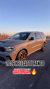 Image result for Stryker Purple 2026 Durango