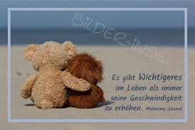 Teddy Kuscheltiere Bilder Insel