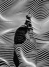 Breaking the rules, est la réédition du roman always you. 1001 Photos Pour Un Fond D Ecran Noir Et Blanc Parfait Pour Vous