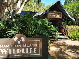 Here is our beginners guide to understanding how to have a great hamilton island holiday. Hamilton Island Whitsundays Australien Reisefuhrer